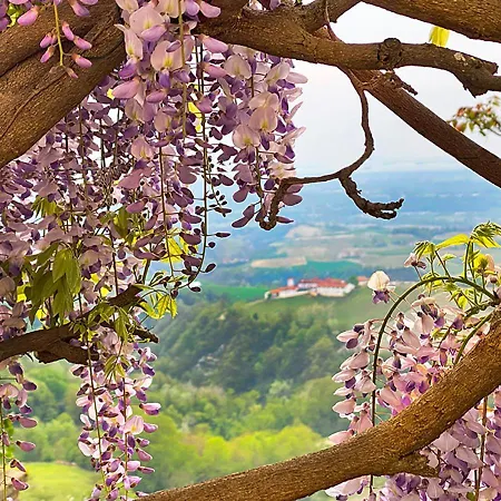 La Vista Dal Cielo Appartement